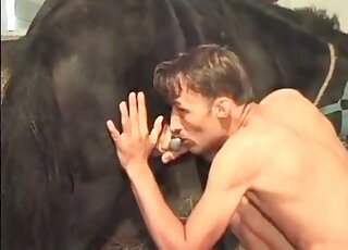 Zoophile oral action featuring nasty dude that sucks hard cock of a horse