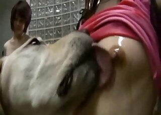 Japanese sluts share dog cock in sloppy threesome and swallow jizz together