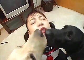 Teen Japanese ass licks both dogs and enjoys fantasy zoophilia