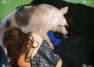 Pig at the farm fucks tight woman's cunt and grants her fabulous pleasure