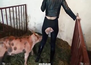 Pig humps clothed brunette woman in amateur zoo perversions