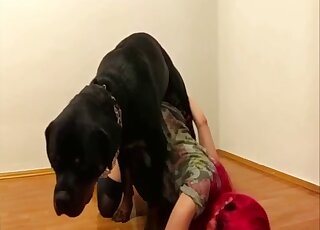 Redhead and her black dog in sloppy cam porn until the orgasm
