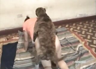 Big ass wife dog fucked in home zoo XXX and soaked in fresh sperm