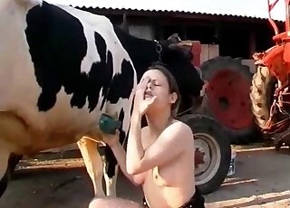 Bitch milks her cow to pour fresh milk over her clit and tits