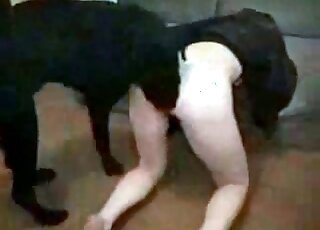 Black dog fucks with passion tight pussy of a horny bitch at home