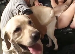 Strong dog cock in her ass makes Japanese slut go nuts