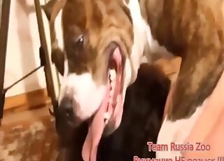 Deep anal sex with the dog makes naked wife lose control