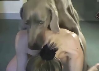 Sexy ass babe tries anal sex with a dog in ruthless cam scenes