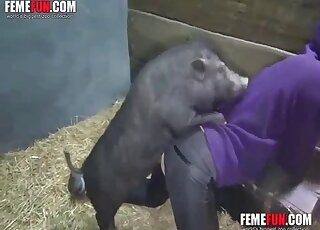 European slut tries farm zoo porn with a pig and loves the outcome