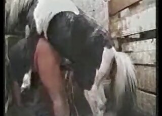 Hardcore fucking of a horny zoophile bitch by an aroused horse