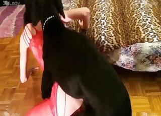 Red lingerie hottie shows that perfect ass before fucking a black dog