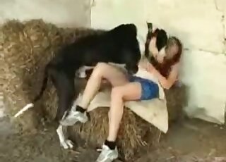 Zoophile slut seduces her dog for a hot fucking action outdoors