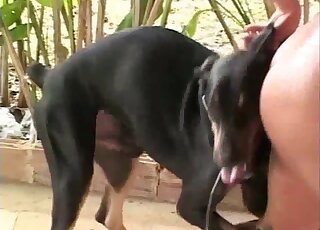 Pink pussy animal lover enjoying dildo play and dog dicks as well