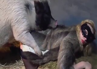 Pale-skinned and sexy-looking babe is going to bang a hung boar