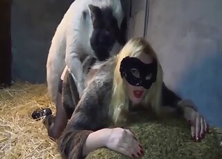 Black stockings babe is enjoying doggystyle banging with orgasms