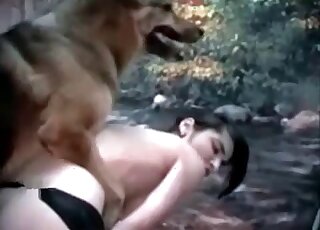 Doggy-style XXX zoo porn featuring a horny dog and sexy brunette