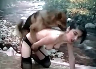 Zoophile slut moans as her pussy endures hot fucking by a dog