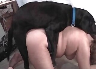 Non-stop fucking of a tight pussy by a hard pecker of a black doggie