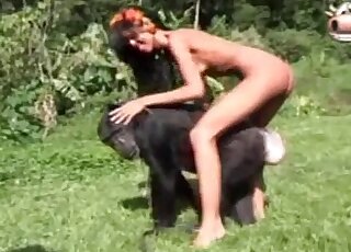 Monkey Zoo Porn - Mono Videos Porno / milfs zoofilia sexo / Lo mÃ¡s popular PÃ¡gina 1