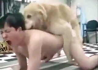 Short-haired brunette zoophile chick endures non-stop fucking by a dog