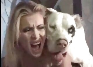Huge white dog gets aroused and licks wet pussy of a seductive chick