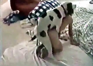 Black spotted dog enjoys fucking horny zoophile bitch on the floor