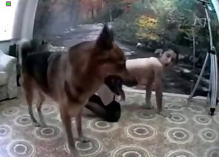Aroused brunette seduces her dog to fuck her from behind at home