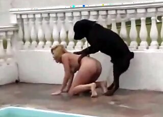 Big rottweiler fucks horny blonde from behind in hot bestiality scene