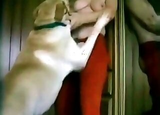Big white dog passionately bangs horny zoophile chick from behind