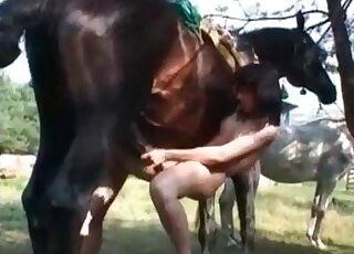 Outdoor zoophilic movie showing horse lovers fucking the same beast