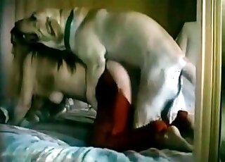 Big booty zoophile is ready to get fucked by a white animal's cock