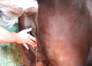 Lady with a meaty set of boobies fisting a mare's pussy brutally