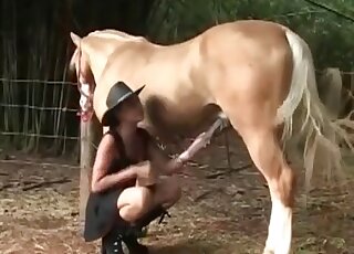 Muscular brown stallion fucks a hat-wearing zoophile orally at first