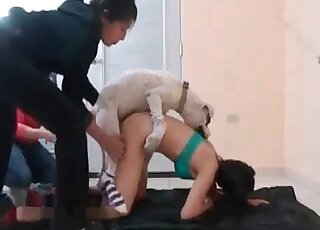 Skinny lady with a firm ass gets fucked by a white dog from behind
