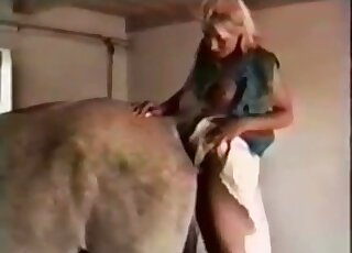Gorgeous mare pussy fucked in a lesbian strap-on bestiality vid