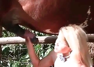 Hot blondie with a cute face licking all over the stallion's penis