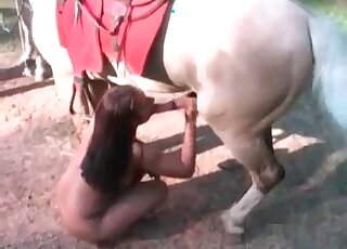 Pony with a huge penis is going to receive the best handjob out there