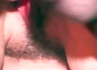 Close-up look at the way doggie cums inside the hairy pussy hole