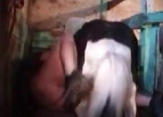 Pony porn movie showing a chubby MILF that bangs a hot animal