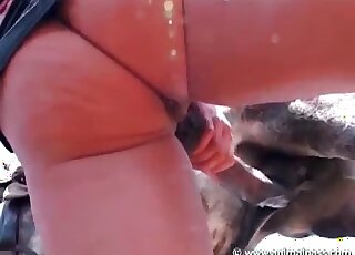 Dark-haired bitch gives a terrific blowjob to a horse in a zoo porn vid