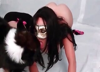 Two hotties in masks suck and play with pink cock of their horny dog