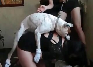 Dog screws and creampies needy cunt of a perverted chick