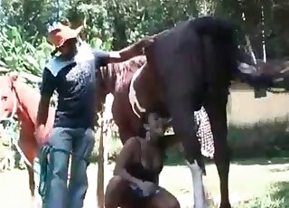 Insatiable slut gets orgasm while playing oral games with a horse