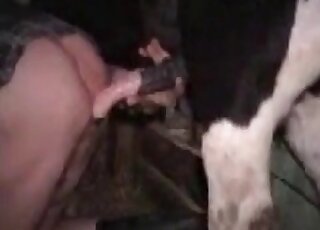 Mature bitch gets impaled on a huge stallion’s dick in a zoo scene
