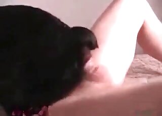 Nasty dude fucks a black dog deep and hard in a zoo scene