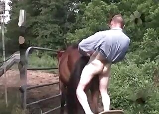 Wild dude stuffs horse’s hole with his erected cock in zoophilia action