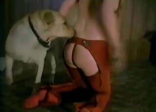 Dog licks cunt and fucks a crazy mom in a wild XXX beastiality action