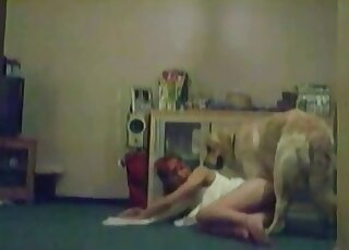 Playful slut goes for her dog’s dick and enjoys the zoo porn