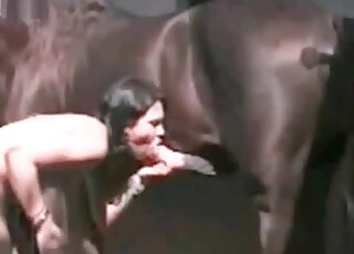 Nasty bitch grabs massive horse's dick with two hands and plays with it