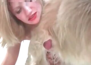 Nasty blonde is glad to receive hard dick of a dog in her mouth